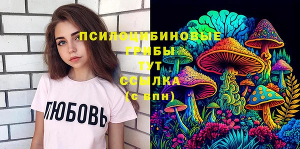 сатива Армянск